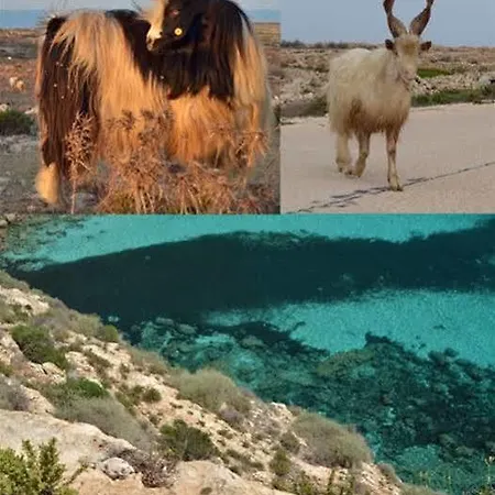 Cala Palme דירה *