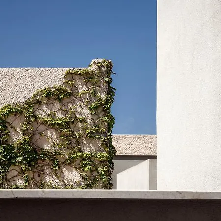 Apartment Cala Palme *