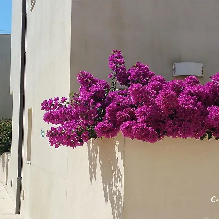 Cala Palme Apartment
