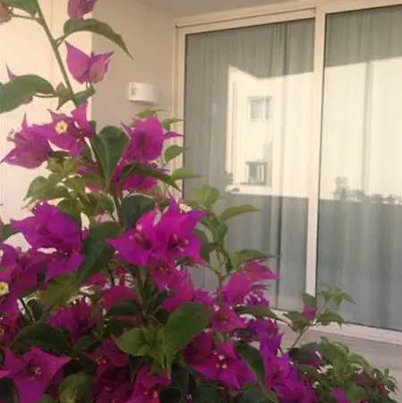 Apartment Cala Palme
